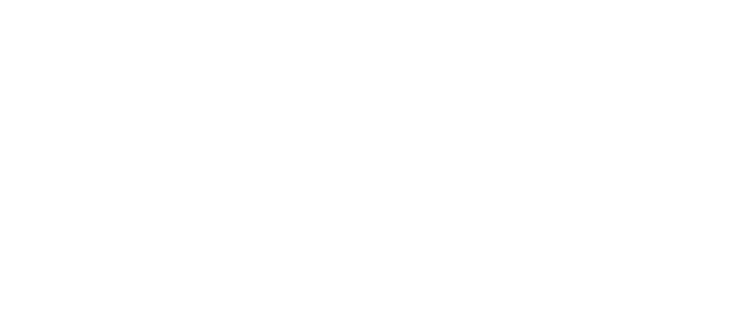 KNOX Logo